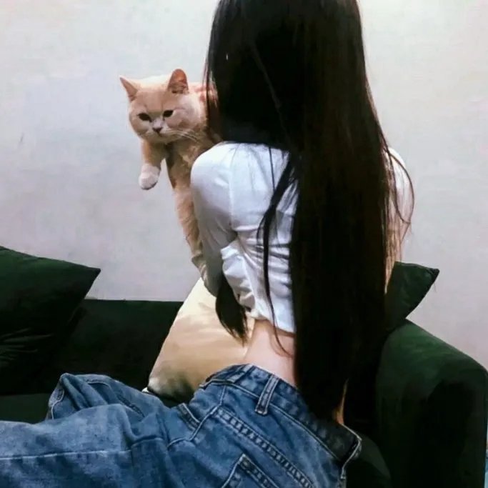 我们的费尔斯特先生去世了