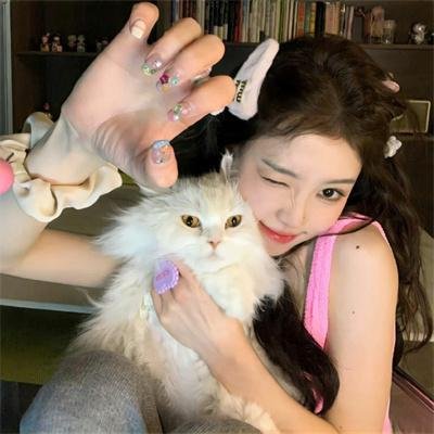 猫老大